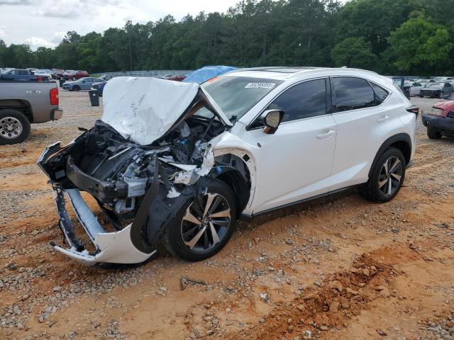 JTJYARBZ9K2150855 - 2019 LEXUS NX 300 BASE თეთრი ფოტო 1