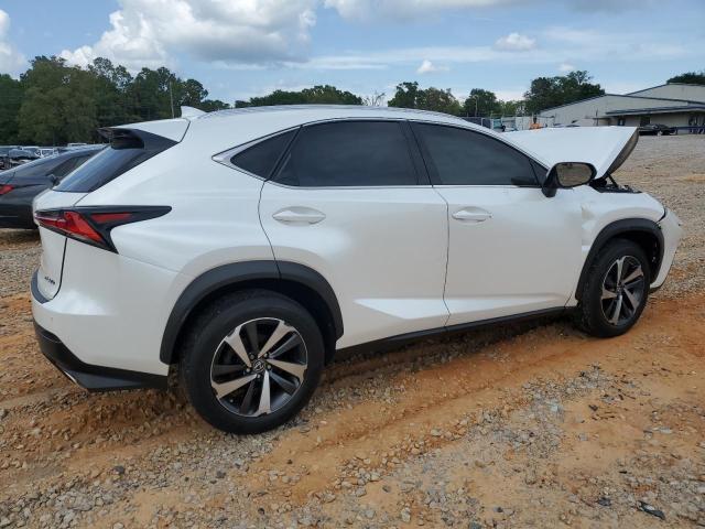 JTJYARBZ9K2150855 - 2019 LEXUS NX 300 BASE თეთრი ფოტო 3