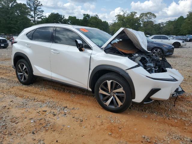 JTJYARBZ9K2150855 - 2019 LEXUS NX 300 BASE თეთრი ფოტო 4