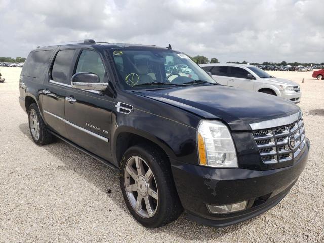 1GYFC26289R143027 - 2009 CADILLAC ESCALADE ESV LUXURY BLACK photo 1