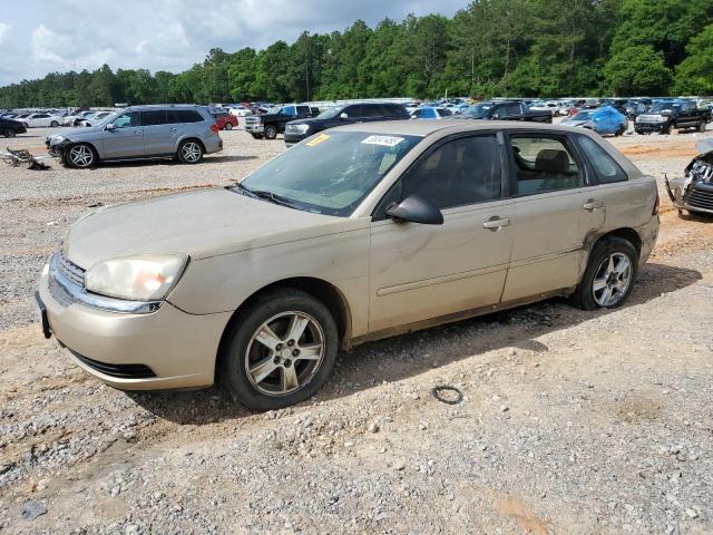 1G1ZT62885F287556 - 2005 CHEVROLET MALIBU MAXX LS 金色 照片 1