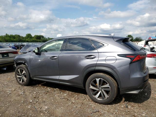 JTJBARBZ2J2159224 - 2018 LEXUS NX 300 BASE GRAY photo 2