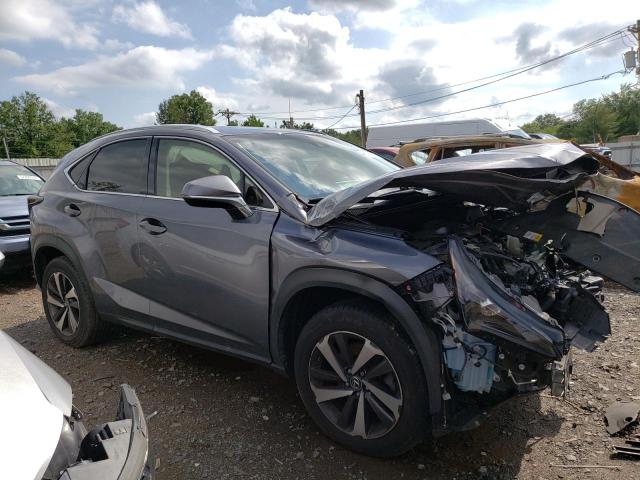 JTJBARBZ2J2159224 - 2018 LEXUS NX 300 BASE GRAY photo 4