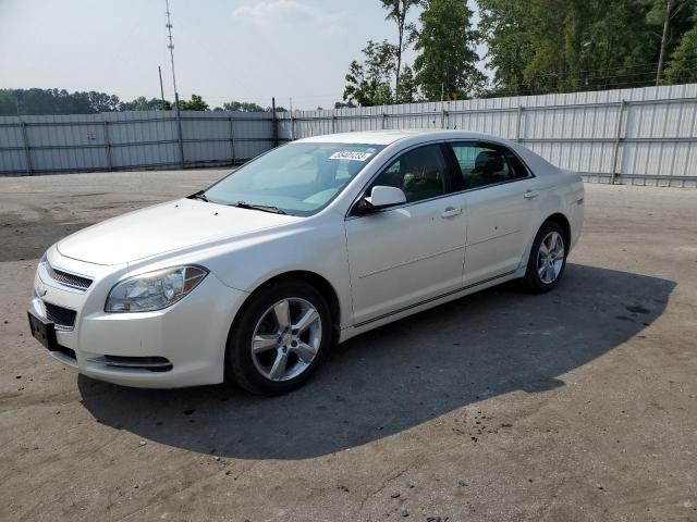 1G1ZC5E13BF294872 - 2011 CHEVROLET MALIBU 1LT WHITE photo 1