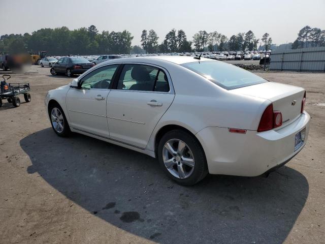 1G1ZC5E13BF294872 - 2011 CHEVROLET MALIBU 1LT WHITE photo 2