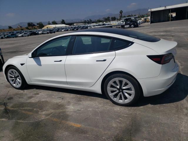 5YJ3E1EB8NF137548 - 2022 TESLA MODEL 3 Ağ foto 2