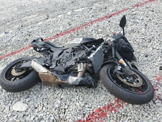 2025 YAMAHA YZFR7, null