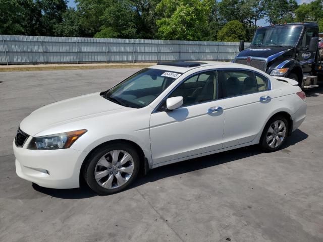 2008 HONDA ACCORD EXL, null