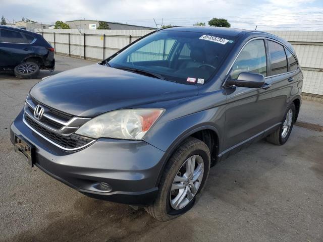 2010 HONDA CR-V EXL, null