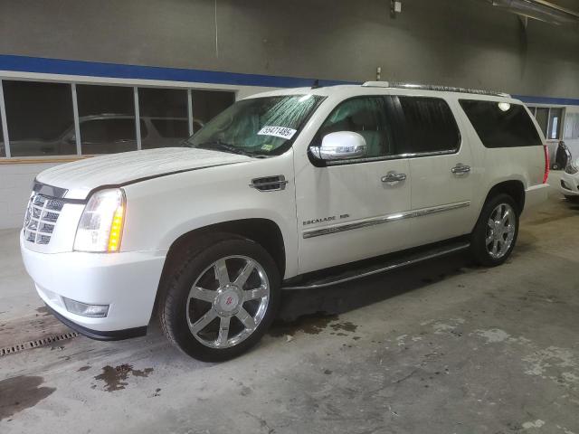 2010 CADILLAC ESCALADE ESV LUXURY, 