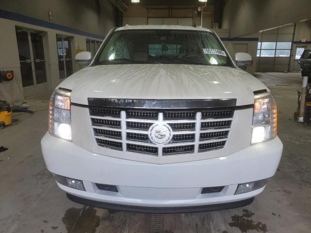 1GYUKHEF9AR221062 - 2010 CADILLAC ESCALADE ESV LUXURY Weiß Foto 5