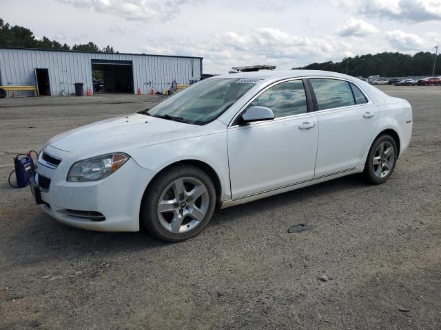 1G1ZC5E0XAF183726 - 2010 CHEVROLET MALIBU 1LT 白色 照片 1