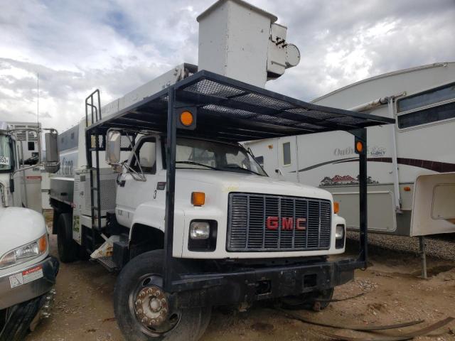 1GDL7H1E62J516535 - 2002 GMC C-SERIES C7H042 白色 照片 4