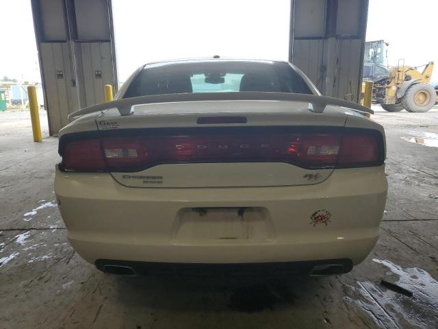 2C3CDXDT6EH364882 - 2014 DODGE CHARGER R/T WHITE photo 6