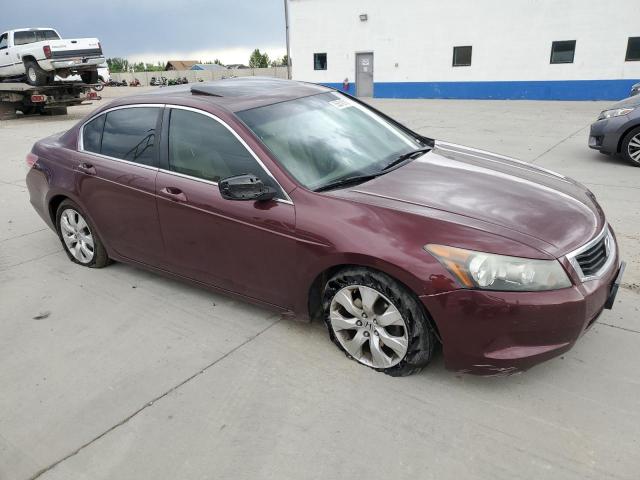 1HGCP26808A005658 - 2008 HONDA ACCORD EXL BURGUNDY photo 4