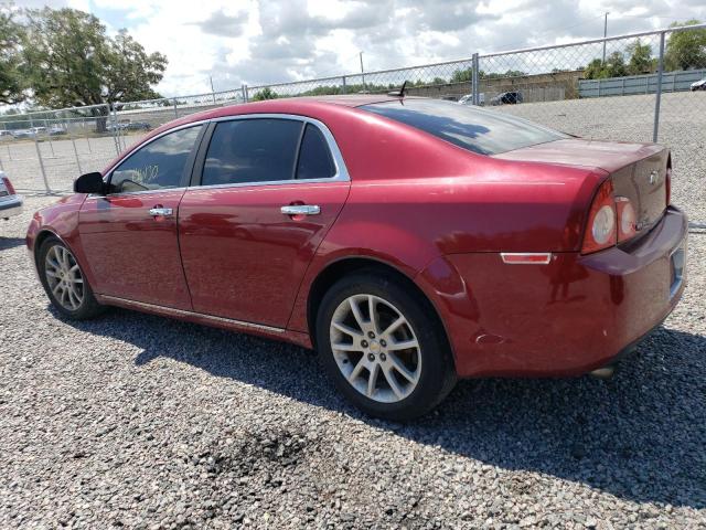 1G1ZE5E77BF281833 - 2011 CHEVROLET MALIBU LTZ მუქწითელი ფოტო 2