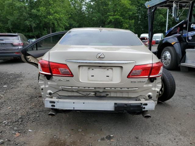 JTHBK1EG6A2362353 - 2010 LEXUS ES 350 TAN photo 6