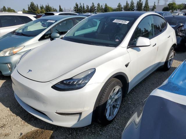 2022 TESLA MODEL Y, null