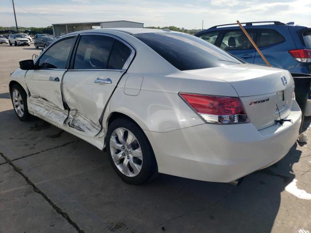 5KBCP3F87AB003389 - 2010 HONDA ACCORD EXL WHITE photo 2