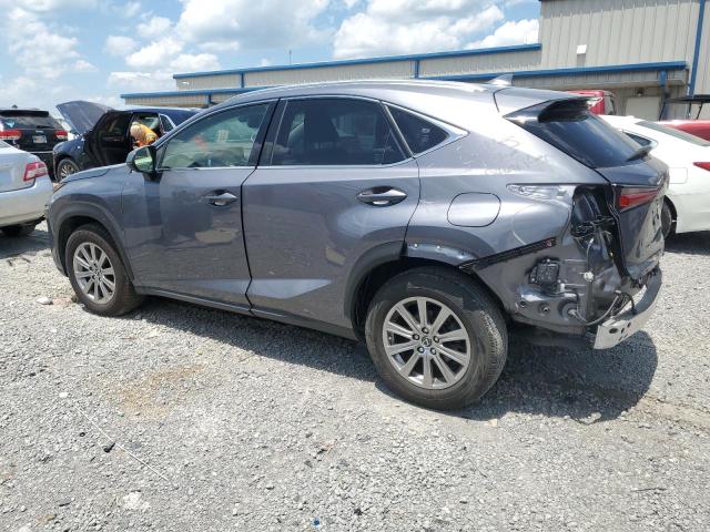 JTJDARBZ1M2196262 - 2021 LEXUS NX 300 BASE Boz foto 2