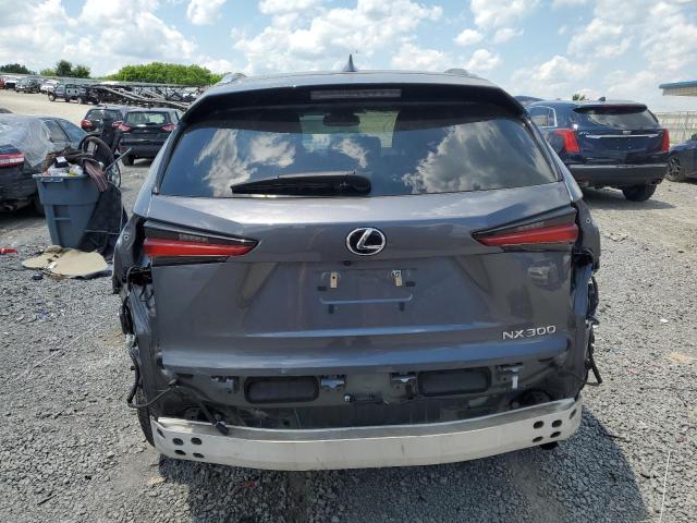 JTJDARBZ1M2196262 - 2021 LEXUS NX 300 BASE Boz foto 6