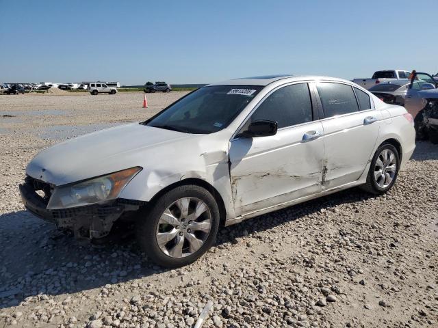 2010 HONDA ACCORD EXL, null
