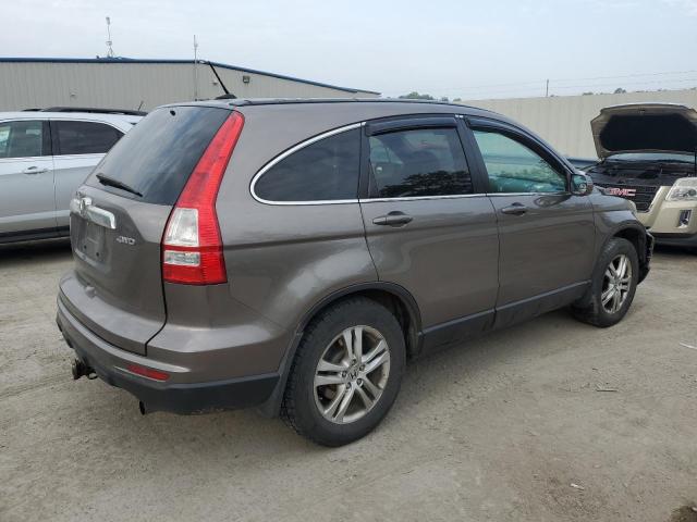 5J6RE4H77AL033928 - 2010 HONDA CR-V EXL GRAY photo 3