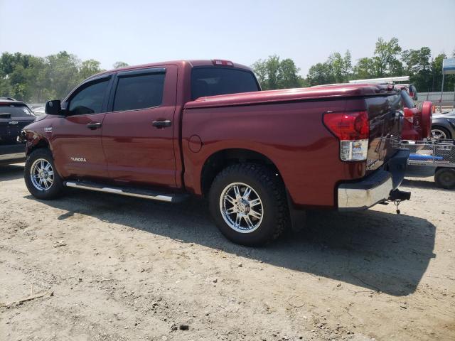 5TFDV54188X051865 - 2008 TOYOTA TUNDRA CREWMAX BURGUNDY photo 2