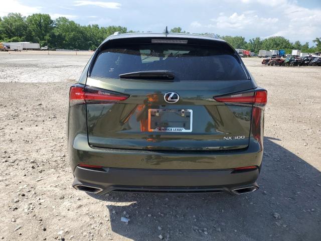 JTJDARDZ7M2257496 - 2021 LEXUS NX 300 BASE GREEN photo 6