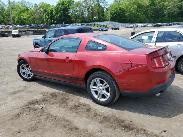 1ZVBP8AM2B5155303 - 2011 FORD MUSTANG RED photo 2