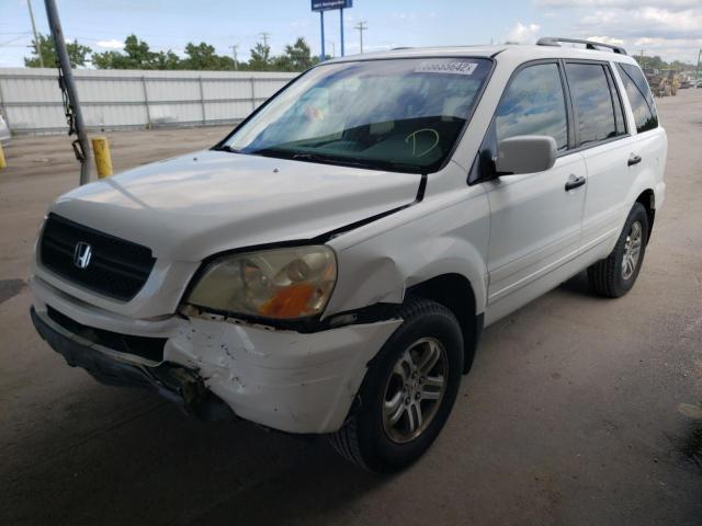 5FNYF18695B013399 - 2005 HONDA PILOT EXL WHITE photo 2