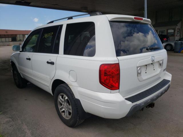 5FNYF18695B013399 - 2005 HONDA PILOT EXL WHITE photo 3