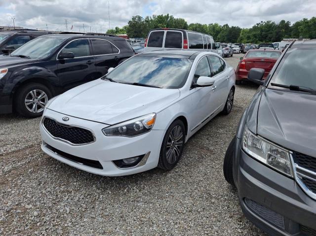 KNALN4D74E5135292 - 2014 KIA CADENZA PREMIUM WHITE photo 2