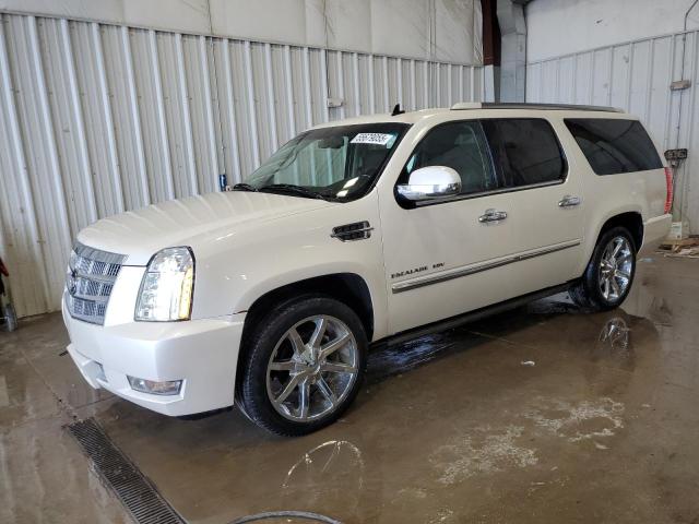1GYS4KEF7BR252763 - 2011 CADILLAC ESCALADE ESV PLATINUM Ağ foto 1