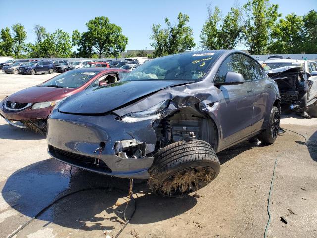 2021 TESLA MODEL Y, null