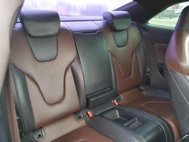 WAUCGAFR6DA023929 - 2013 AUDI S5 PREMIUM PLUS 白色 照片 10