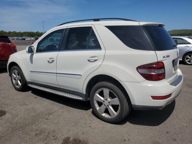 4JGBB8GB8AA572076 - 2010 MERCEDES-BENZ ML 350 4MATIC WHITE photo 2