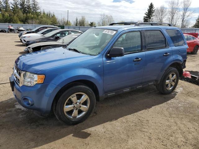 2010 FORD ESCAPE XLT, 