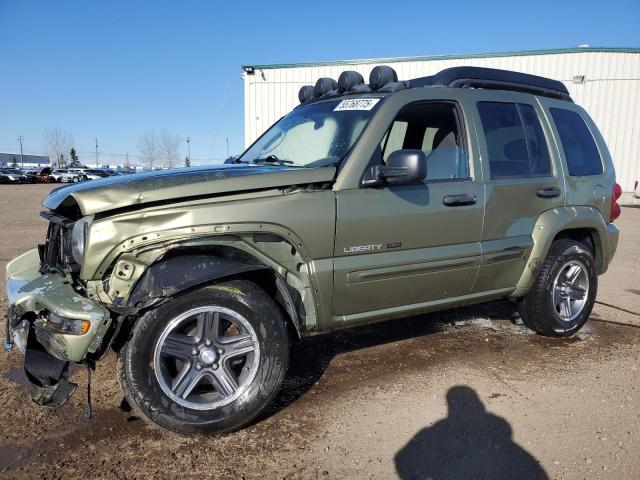 1J4GL38KX3W691322 - 2003 JEEP LIBERTY RENEGADE GREEN photo 1