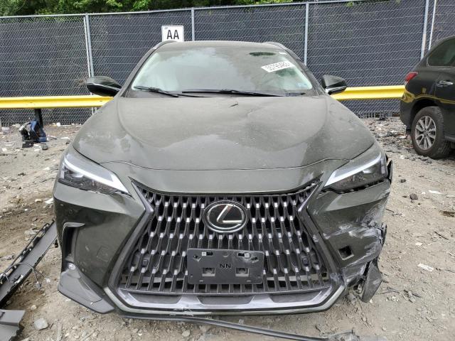 2T2GGCEZ4NC011045 - 2022 LEXUS NX 350 GREEN photo 5