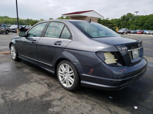 WDDGF81XX9F280906 - 2009 MERCEDES-BENZ C 300 4MATIC GRAY photo 2