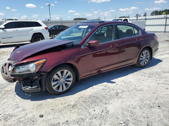 1HGCP2F82BA127591 - 2011 HONDA ACCORD EXL BURGUNDY photo 1