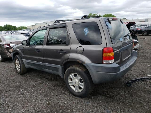 1FMYU03103KA79685 - 2003 FORD ESCAPE XLT GRAY photo 2