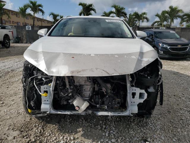 JTJDARBZXM2199483 - 2021 LEXUS NX 300 BASE თეთრი ფოტო 5