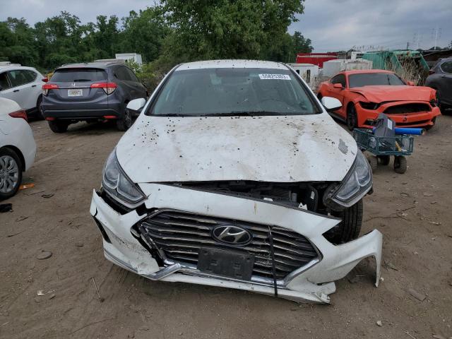 5NPE24AF5KH774082 - 2019 HYUNDAI SONATA SE WHITE photo 5