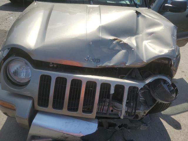 1J4GL38K53W591659 - 2003 JEEP LIBERTY RENEGADE GOLD photo 12