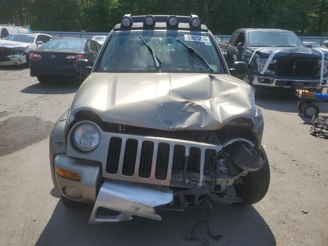 1J4GL38K53W591659 - 2003 JEEP LIBERTY RENEGADE GOLD photo 5