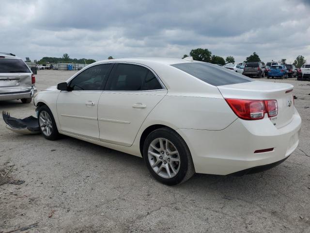 1G11C5SL3EF212310 - 2014 CHEVROLET MALIBU 1LT 白色 照片 2