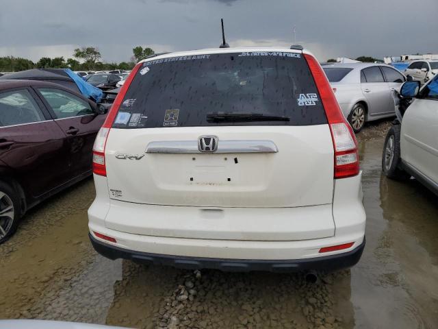 5J6RE3H71AL012549 - 2010 HONDA CR-V EXL WHITE photo 6