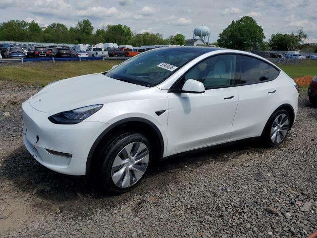 2023 TESLA MODEL Y, null